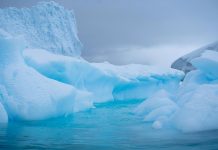 Why to visit Antartica Antartica