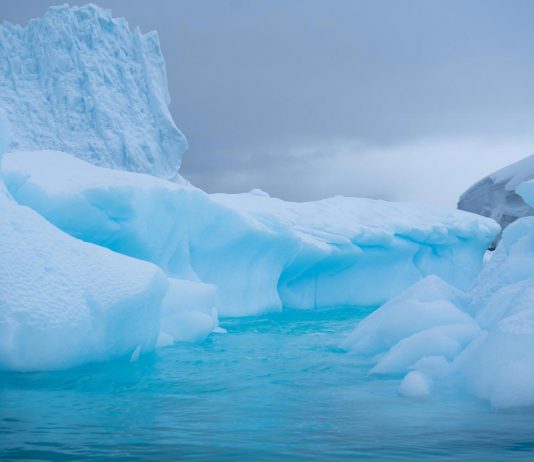 Antartica