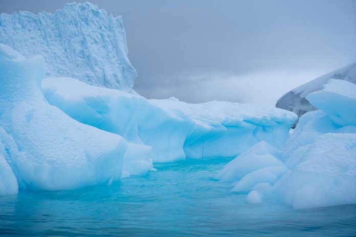 Antartica