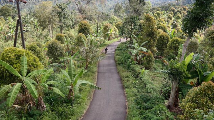 In the heart of Bali, Indonesia