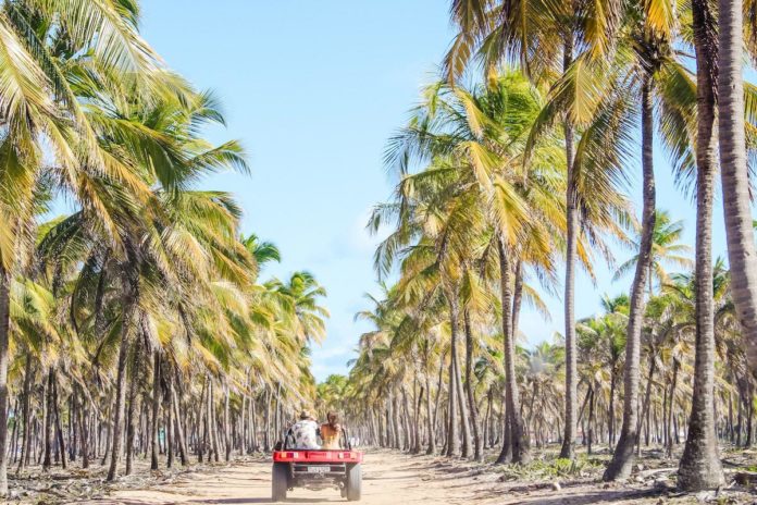 Maracaipe, Brazil