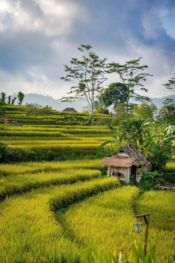 Sideman, Bali, Indonesia