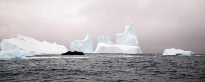 Antartica