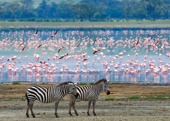 Kenia & Tanzania