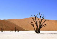 Travel Guide to Sudan Sudan