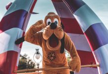 Choose the Right Disney Park for Your Family disney parks